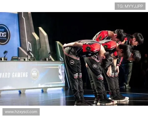 Meiko辅助玩法全面解析技巧及实战经验分享