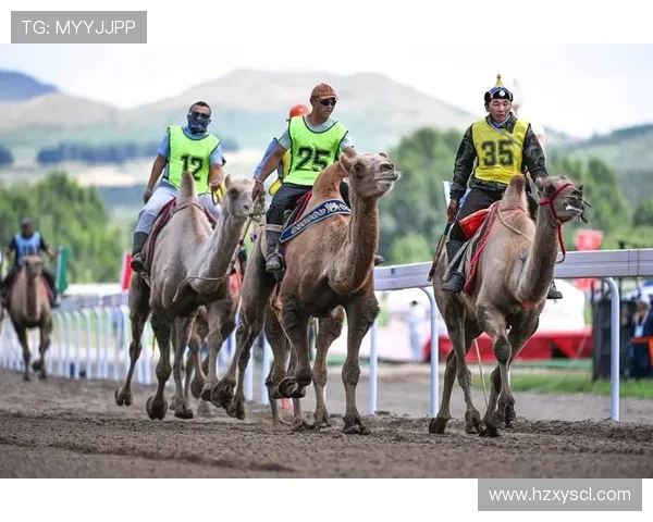 激烈角逐赛场风云新篇章 体育竞技突破极限挑战未来