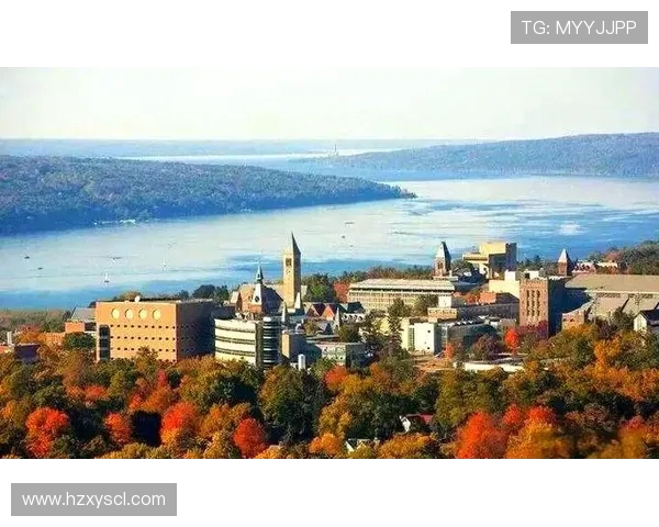 网球运动的技巧与战术解析：从基础动作到高阶策略的全面指南