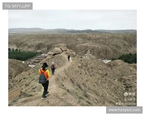 聚焦篮球巨星成长之路与赛场辉煌传奇故事全景解析与深度回顾篇章