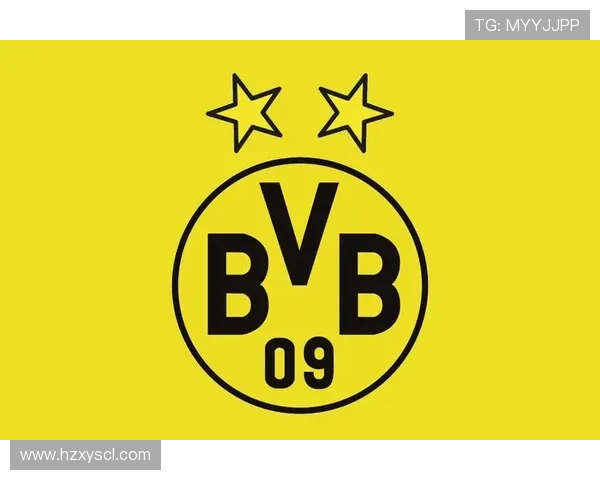 多特蒙德足球俱乐部的崛起与辉煌历程分析