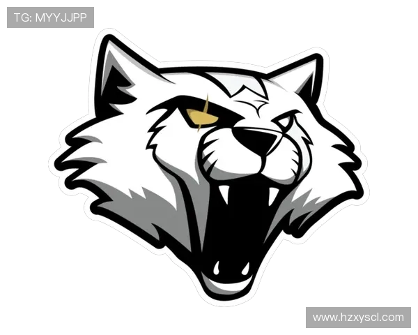 CSGO专题深入分析JDG战队的比赛经验与战术策略探讨