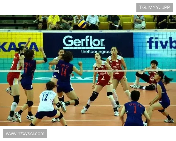 南京排球队在精英赛中的灵活性表现分析与战术探讨