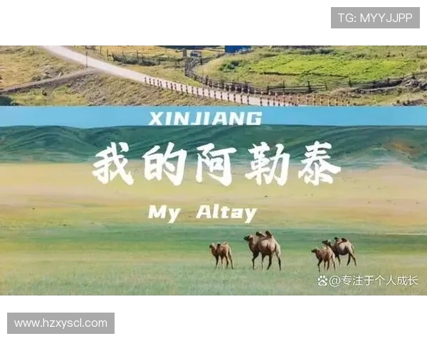 飞盘与梦想交织的旅程：李丽的深度对话与人生启示